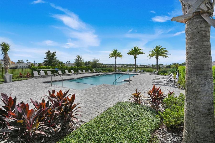 Community amenities in Windrose, Apopka (Image 31).