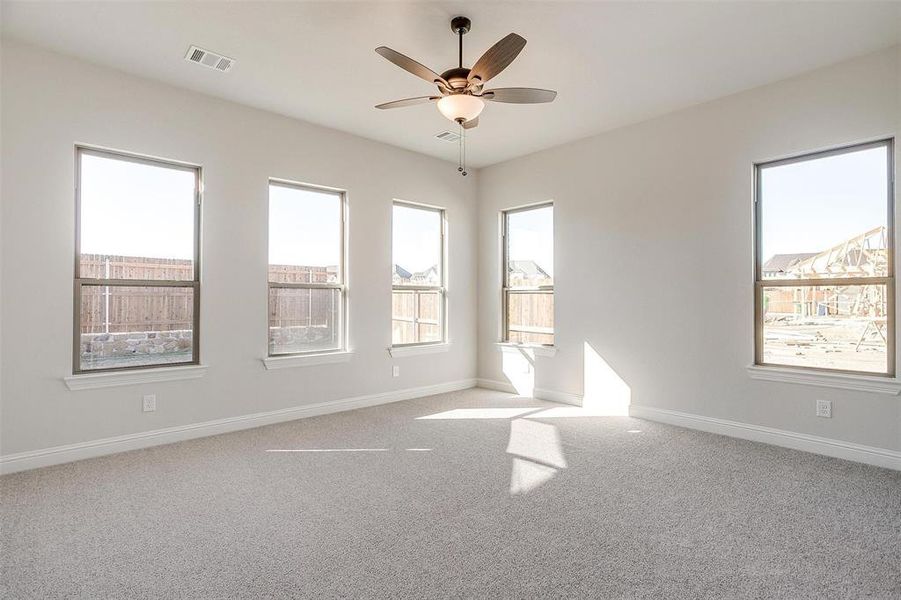 Unfurnished room featuring carpet floors, ceiling fan, and a wealth of natural light