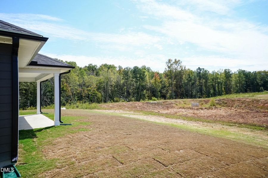 Back Yard 02 Back Yard 02