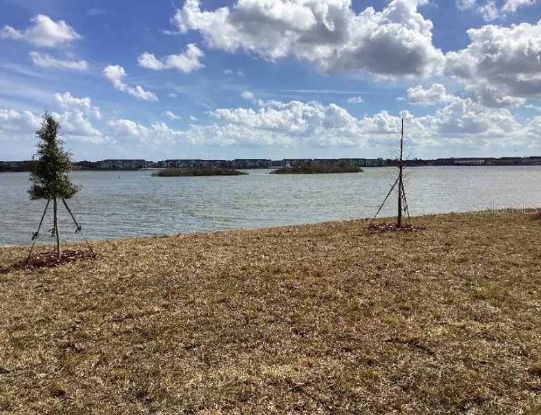 Natural landscape and outdoor views near Catamaran Cove in Rockledge (Image 32).