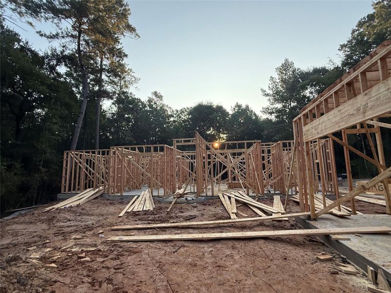 In-progress construction of a new home in , Huntsville, TX (Image 20). In-progress construction of a new home in , Huntsville, TX (Image 20).