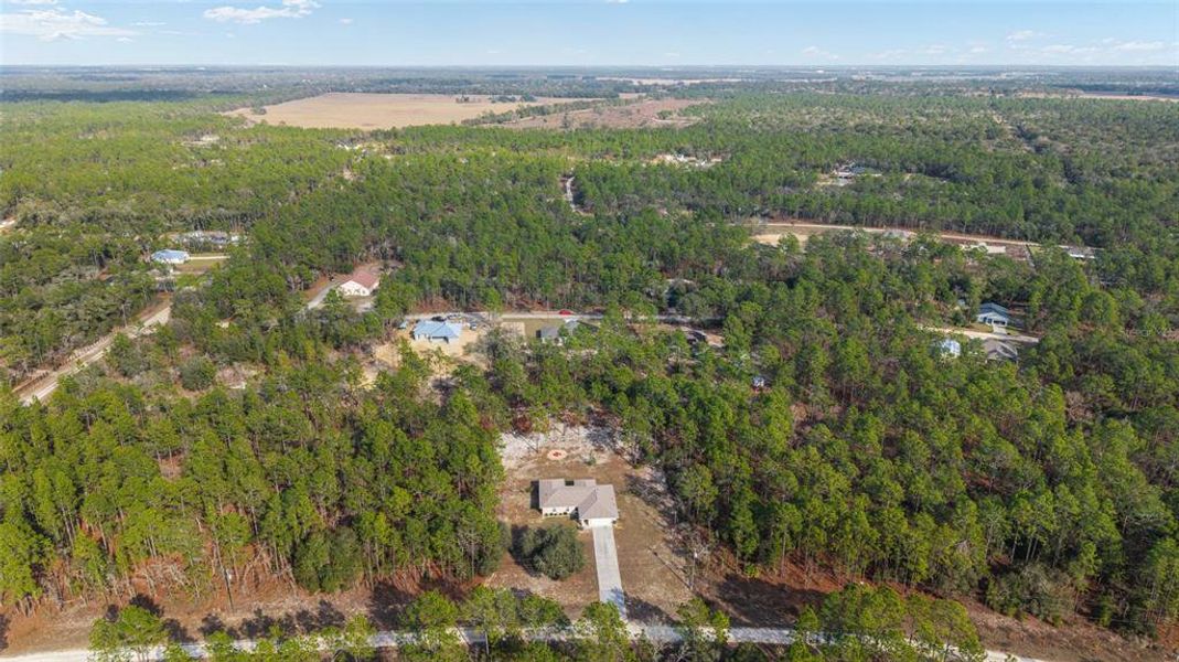 Natural landscape and outdoor views near in Ocala (Image 53). Natural landscape and outdoor views near in Ocala (Image 53).