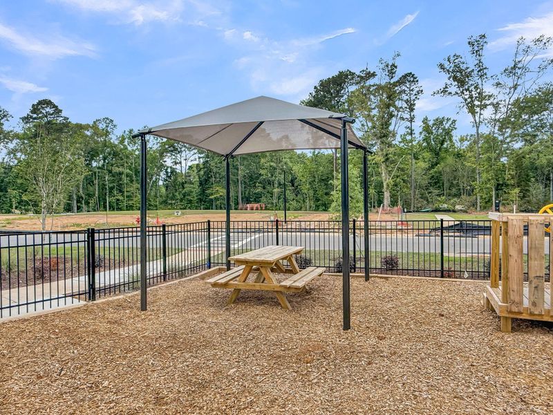 Community amenities in Central Creek, Goose Creek (Image 59).