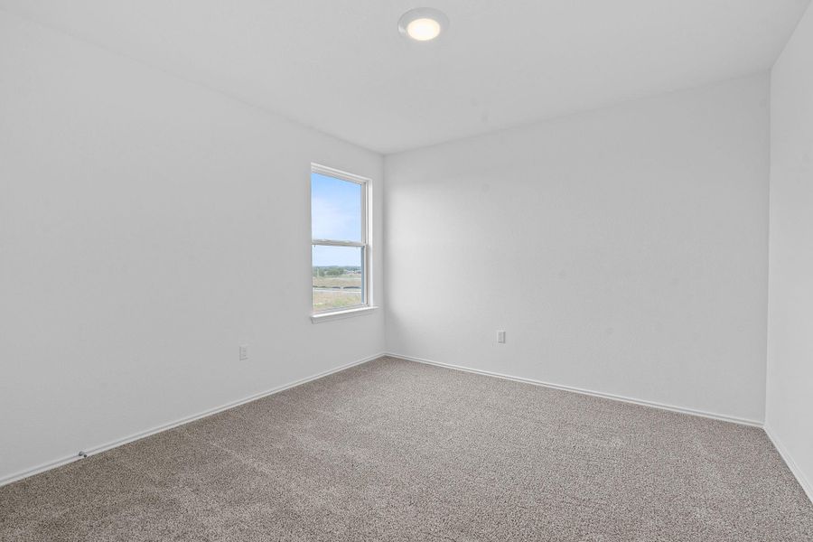 Carpeted empty room with baseboards Carpeted empty room with baseboards