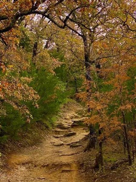 Natural landscape and outdoor views near in Flower Mound (Image 19). Natural landscape and outdoor views near in Flower Mound (Image 19).