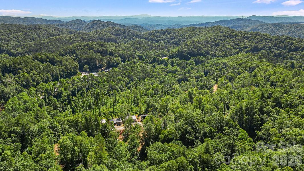 Natural landscape and outdoor views near  in Lake Toxaway (Image 34).