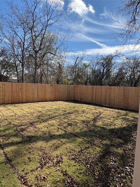 View of fenced backyard