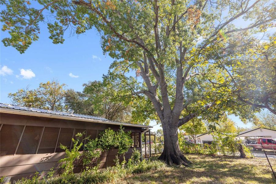 Natural landscape and outdoor views near  in Brownwood (Image 35).