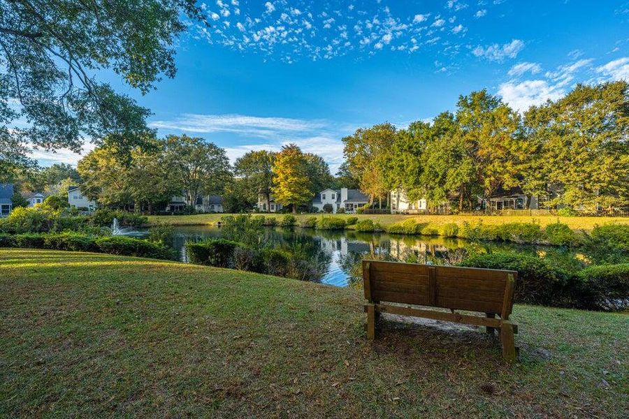 Natural landscape and outdoor views near in Charleston (Image 17). Natural landscape and outdoor views near in Charleston (Image 17).