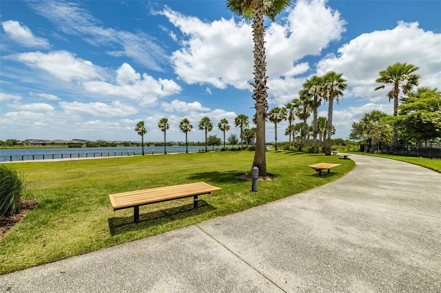 Natural landscape and outdoor views near Waterset Garden Series in Apollo Beach (Image 66).