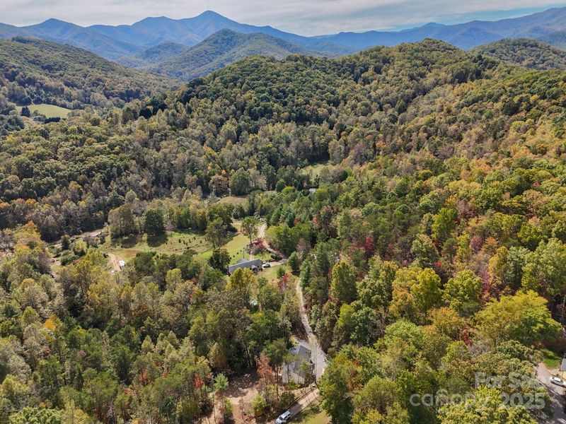 Natural landscape and outdoor views near  in Candler (Image 23).