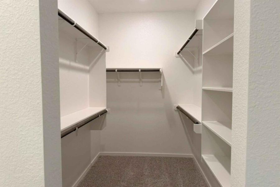 Walk in closet featuring dark colored carpet