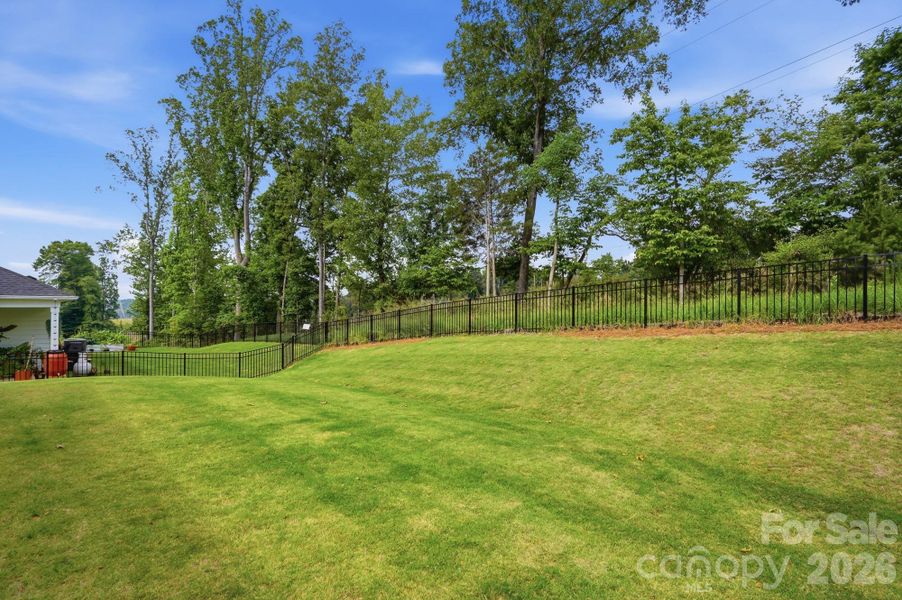Natural landscape and outdoor views near  in Charlotte (Image 42).