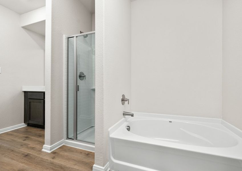 The master bathroom has a glass, walk-in shower and a garden tub. The master bathroom has a glass, walk-in shower and a garden tub.