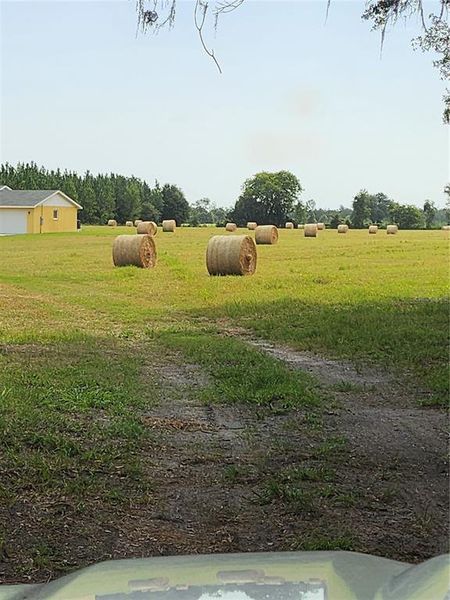 Natural landscape and outdoor views near  in Chiefland (Image 48).