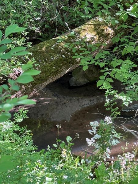 Trickling Stream Trickling Stream