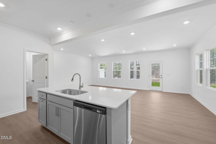 SUN_StellaView_Pic_Coleman_QMI_137_Kitch