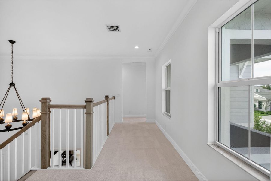 53-web-or-mls-320A4499