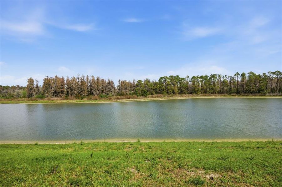 Natural landscape and outdoor views near Whispering Oaks Preserve in Wesley Chapel (Image 70). Natural landscape and outdoor views near Whispering Oaks Preserve in Wesley Chapel (Image 70).