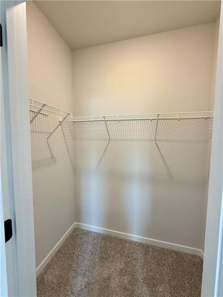 Spacious, unfurnished interior of a new home in Ponderosa Farms Estates, Gainesville (Image 42).