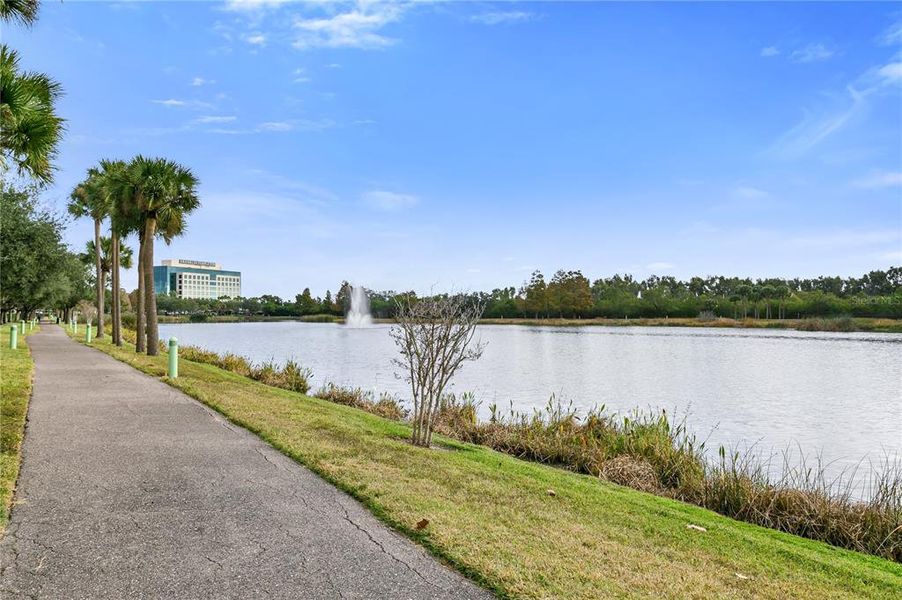 Natural landscape and outdoor views near  in St. Petersburg (Image 70).