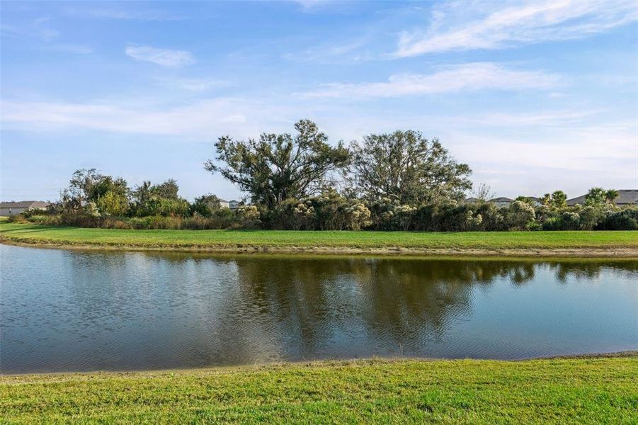 Natural landscape and outdoor views near Summerwoods in Parrish (Image 29). Natural landscape and outdoor views near Summerwoods in Parrish (Image 29).