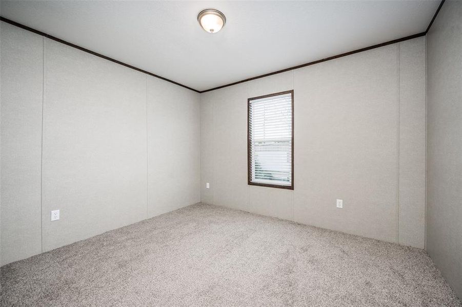 Spare room with light carpet and ornamental molding Spare room with light carpet and ornamental molding