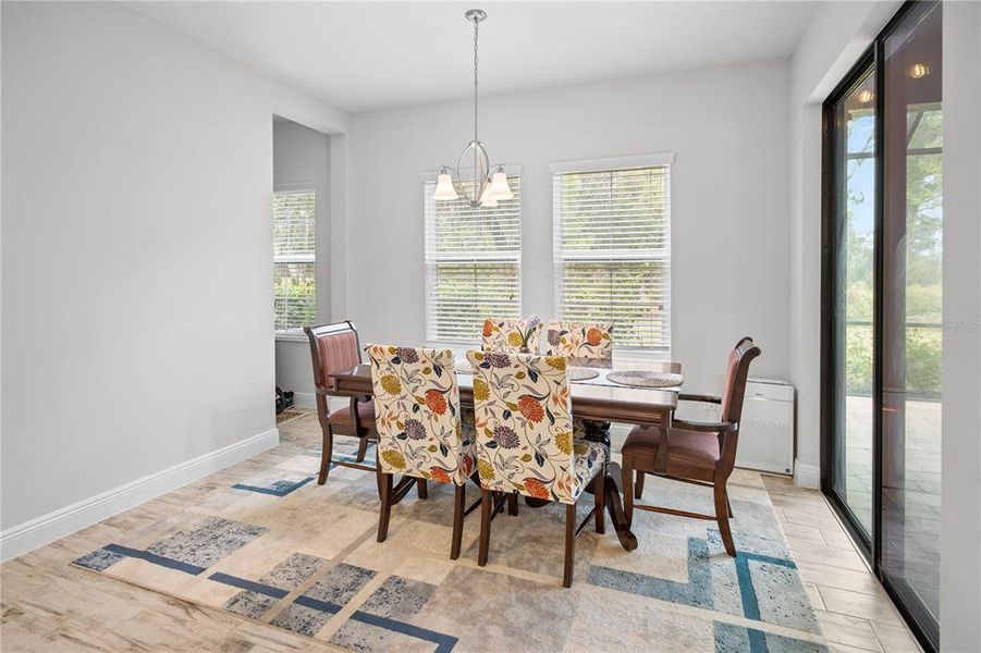 Furnished interior view inside a new home in Hawkstone, Lithia (Image 12).