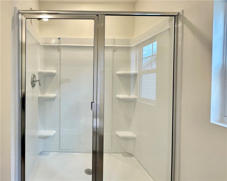 *Picture from a similar Belmont. Not this actual u