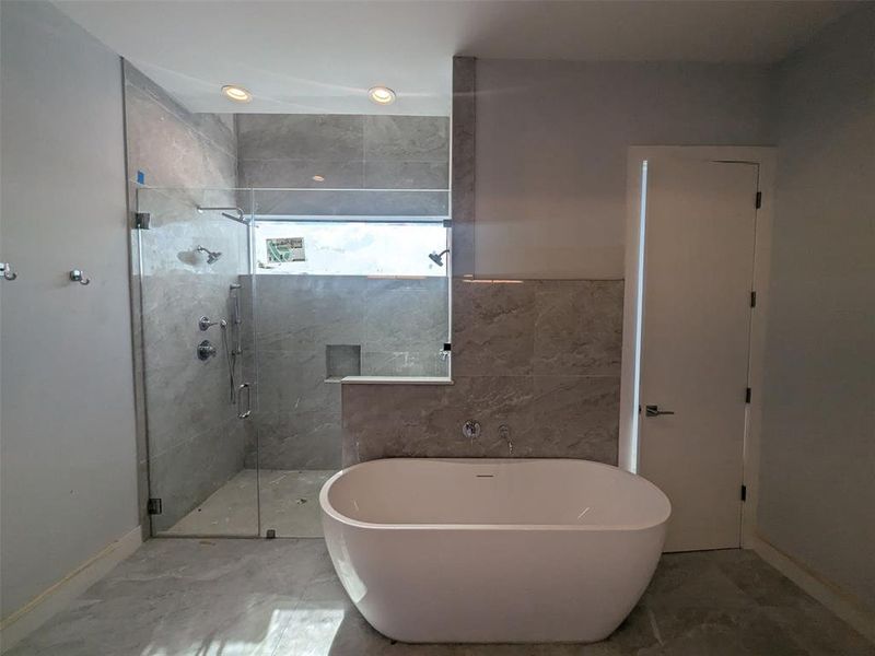 Master shower and tub.