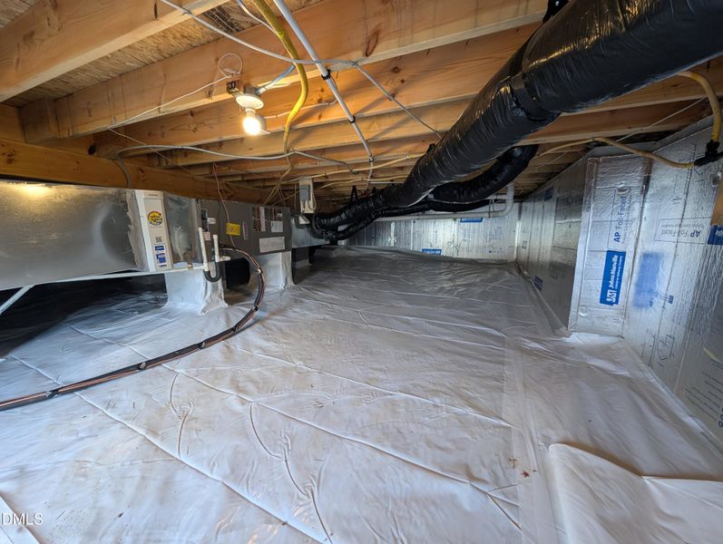 PXL_20251120_145015320