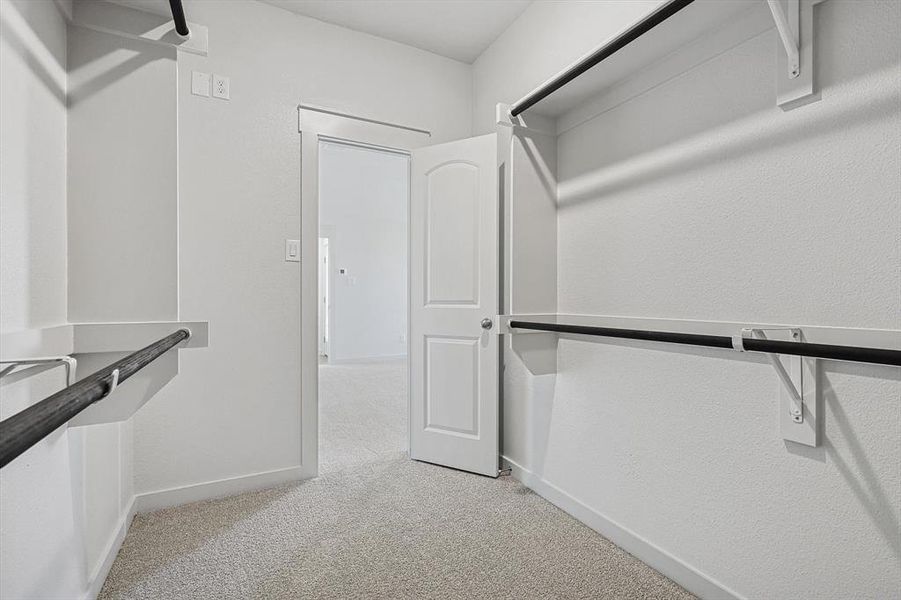 Spacious closet featuring light colored carpet