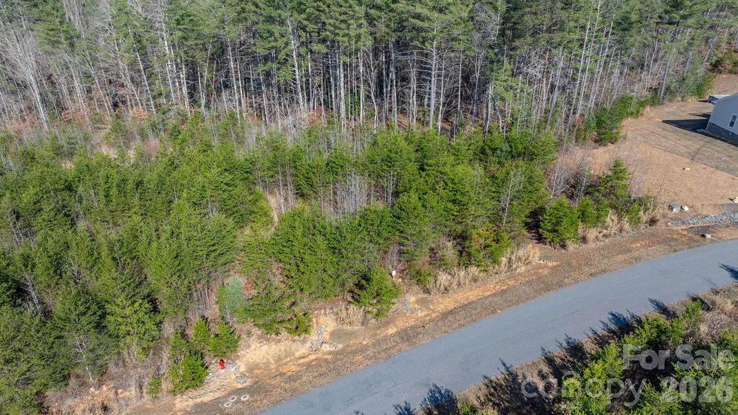 Natural landscape and outdoor views near  in Morganton (Image 23).