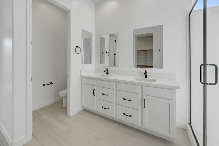 Owner's Bath