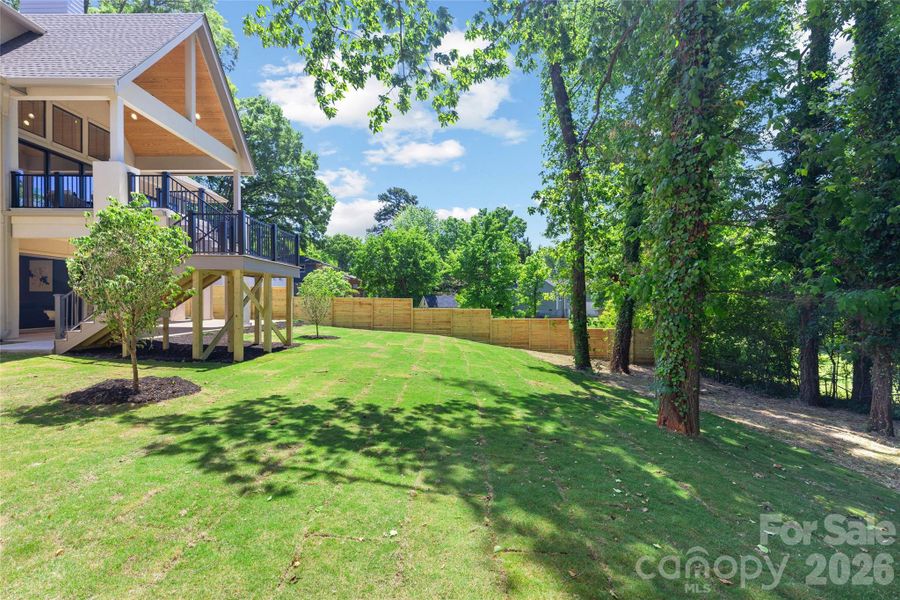 Backyard