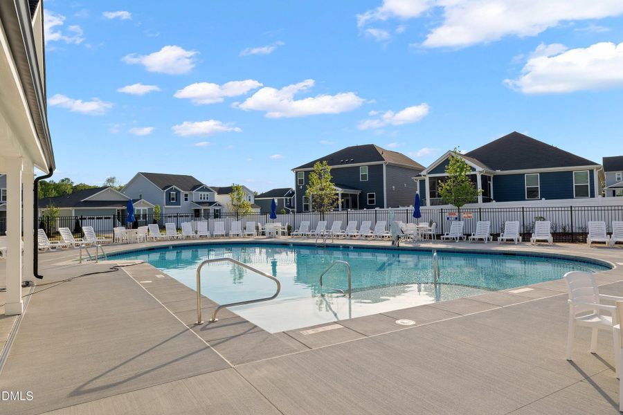 07-313 Spelt - Community_2614