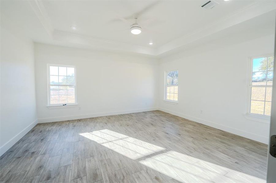 Spare room with light wood-style floors, a ceiling fan, a raised ceiling, healthy amount of natural light, and recessed lighting Spare room with light wood-style floors, a ceiling fan, a raised ceiling, healthy amount of natural light, and recessed lighting