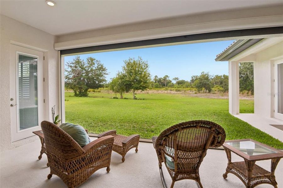 Exterior details and patio area of a home in Hawkstone, Lithia (Image 3).