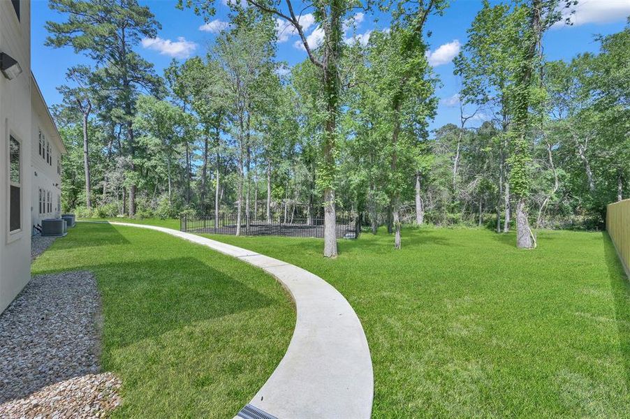 WALKING TRAIL IN BACK OF BUILDINGS LEADS TO DOG PARK