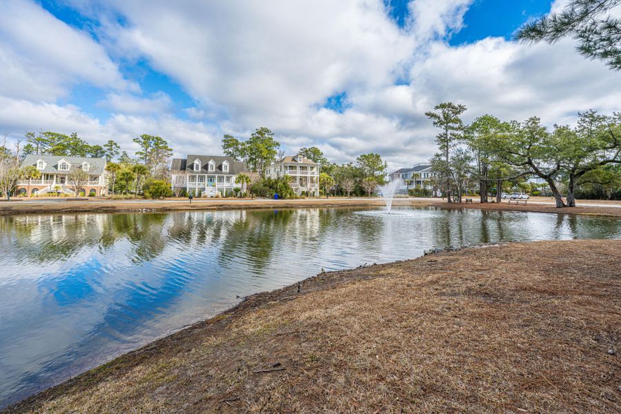 Natural landscape and outdoor views near  in Mount Pleasant (Image 53).