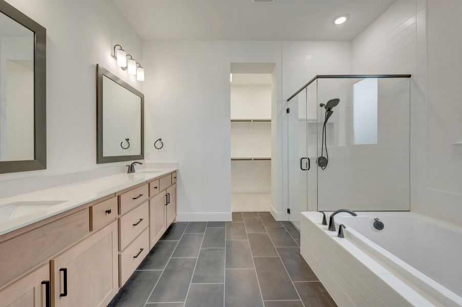 Owner's Bath