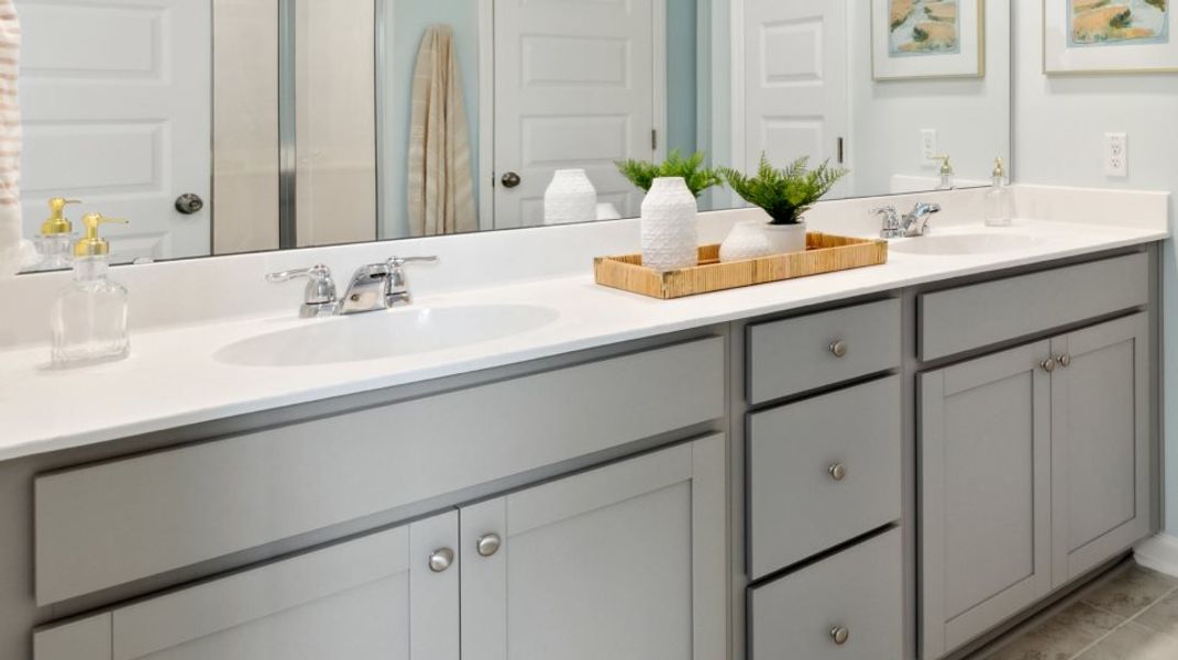 Raised vanity with dual sinks