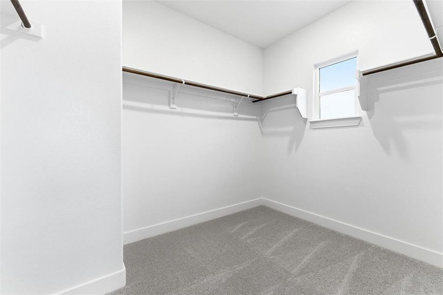 Spacious closet with carpet floors