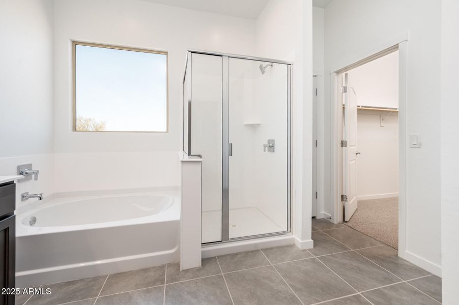 1750 - Owners bath 2