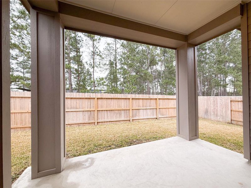 View from back patio - the back neighbors are horses.