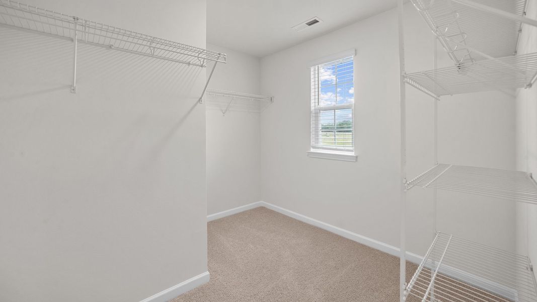 Spacious, unfurnished interior of a new home in Carter Ridge, Greenville (Image 25).