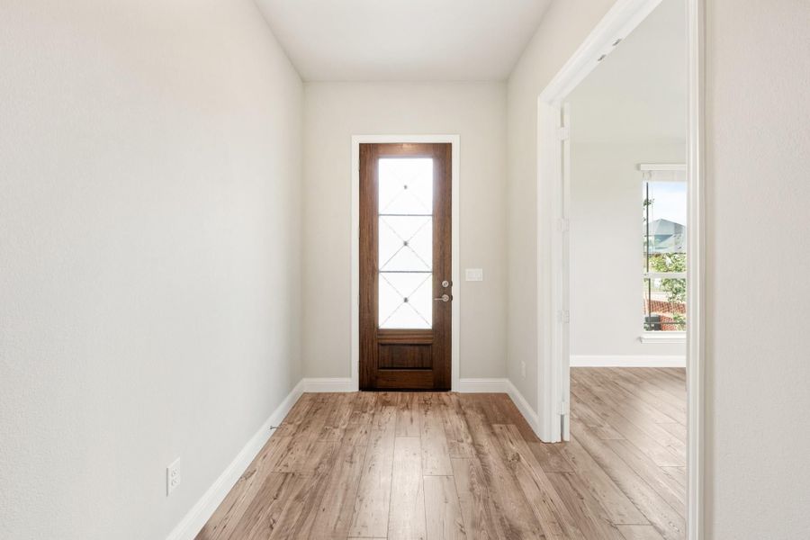 Entryway with dark wood front door, glass panels, and light hardwood floors Entryway with dark wood front door, glass panels, and light hardwood floors
