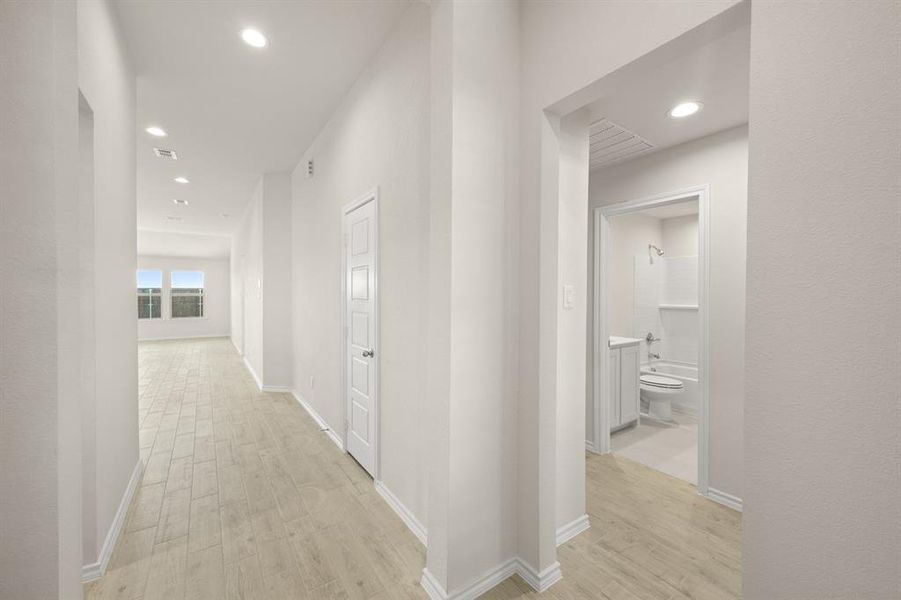 721 Scarlet Sage- Entry-2 721 Scarlet Sage- Entry-2