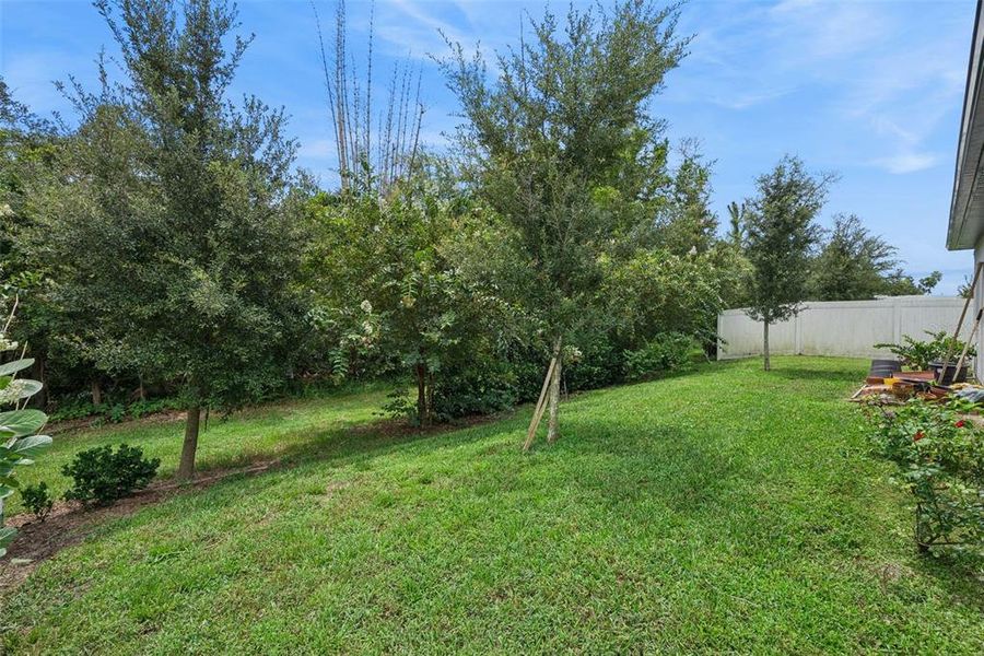 Natural landscape and outdoor views near  in Deltona (Image 43).