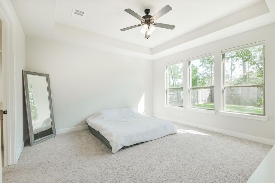 Image 40 of a home in The Woodlands Hills – 55'.